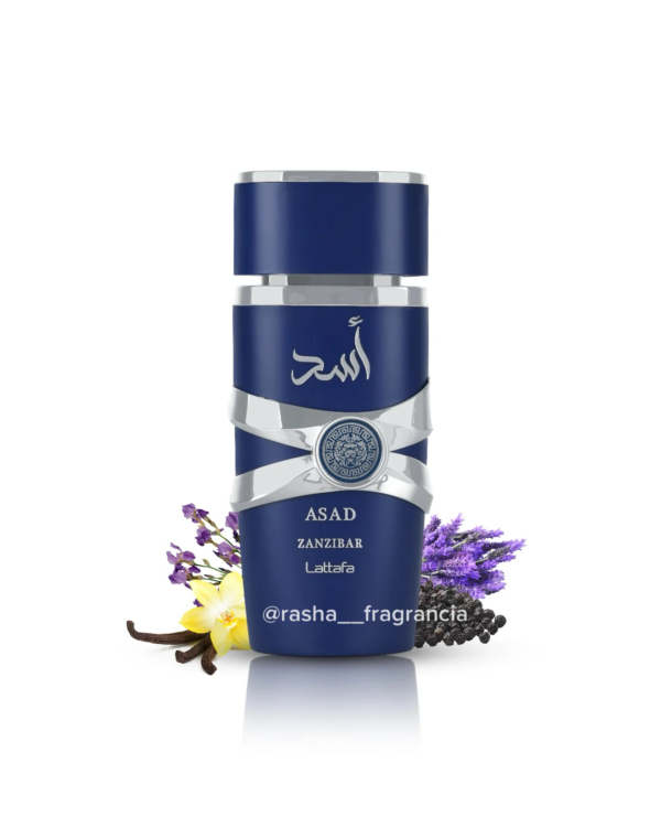 Asad Zanzibar - Image 4