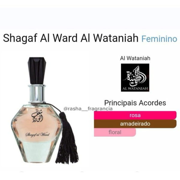 Shaghaf Al Ward - Image 2
