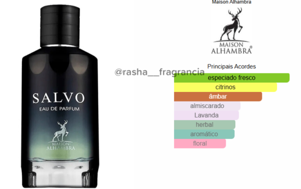 Salvo EDP - Image 2