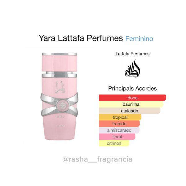 Yara Rosa - Image 2