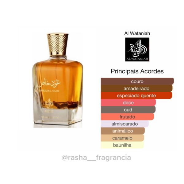 Special Oud - Image 3