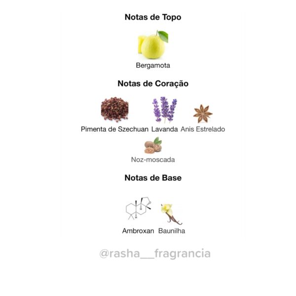 Salvo EDP - Image 3