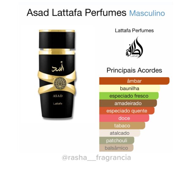 Asad Lattafa - Image 2