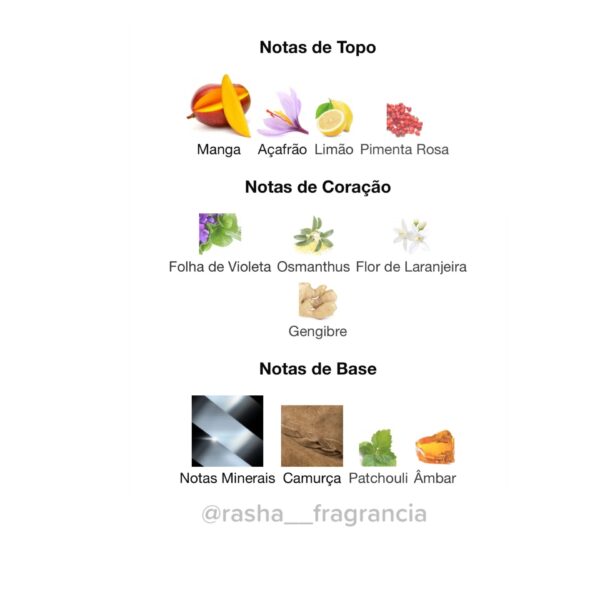 Masa Lattafa - Image 3