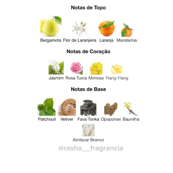 Como Moiselle - Image 3