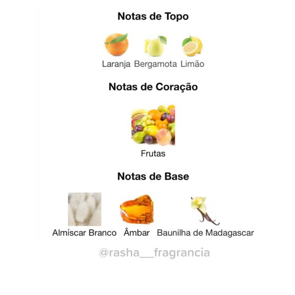 Philos Pura - Image 3