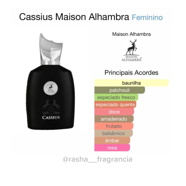 Cassius - Image 2
