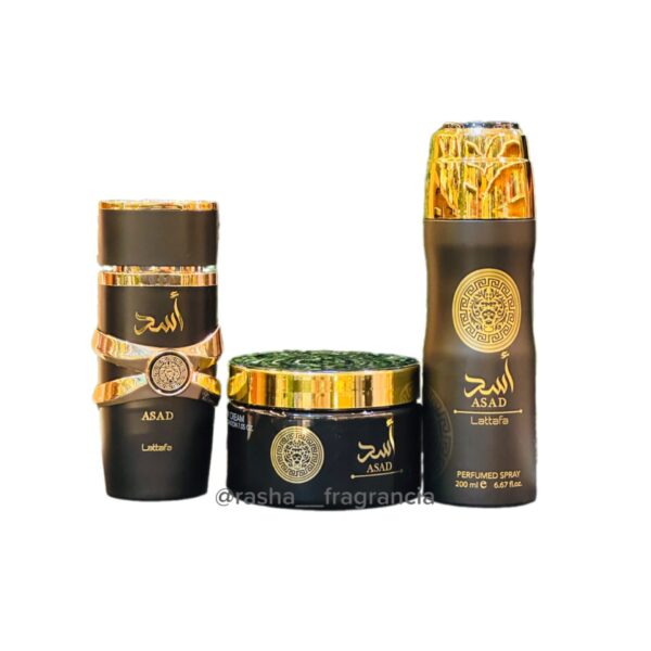 Kit asad