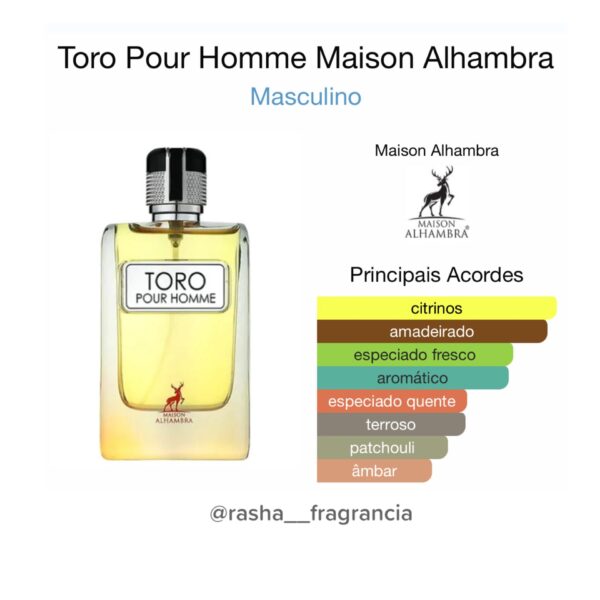 Toro pour Homme - Image 2